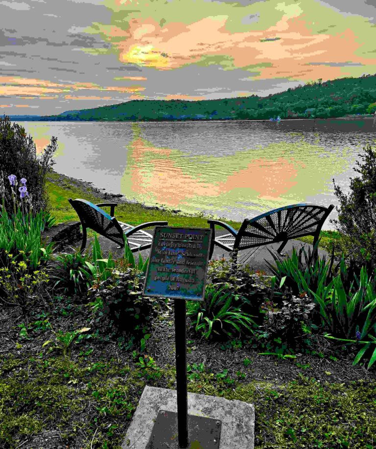 20230511 205446 768x915