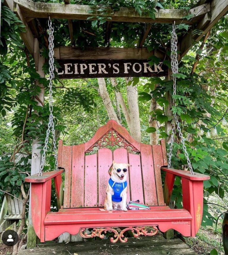 Screenshot 20240112 123908 Instagram 768x862