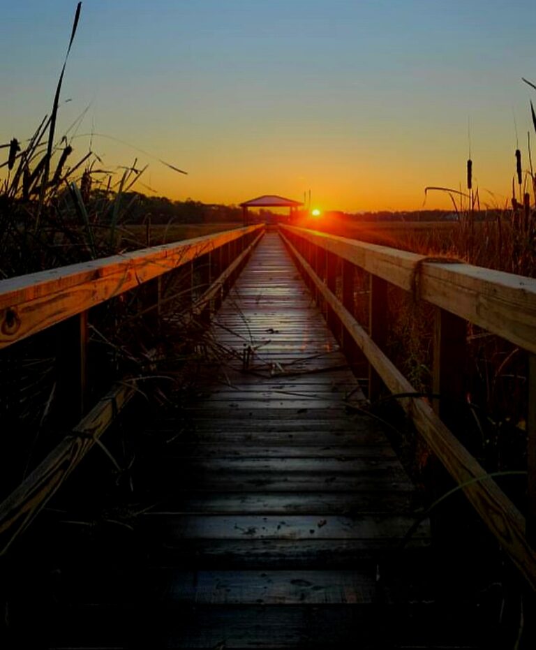 Screenshot 20240114 133950 Instagram 768x931