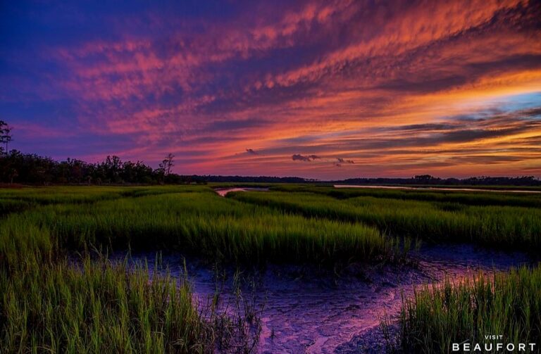 Screenshot 20240114 134103 Instagram 768x503