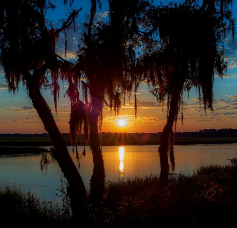 Screenshot 20240114 134122 Instagram 768x739