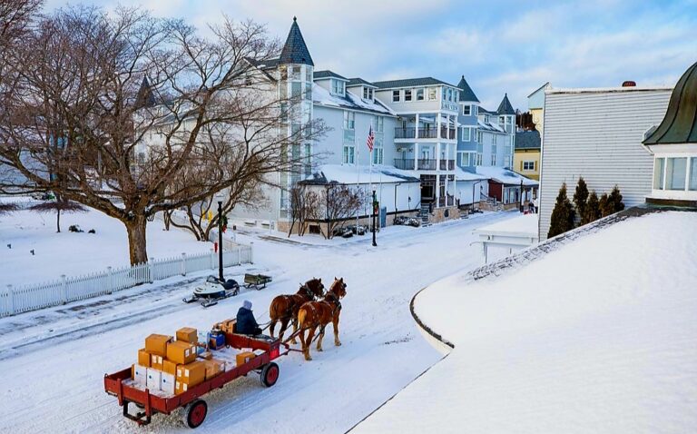 Screenshot 20240115 141221 Instagram 768x478