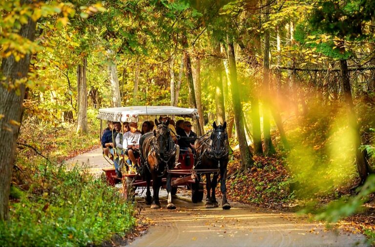 Screenshot 20240115 141500 Instagram 768x506