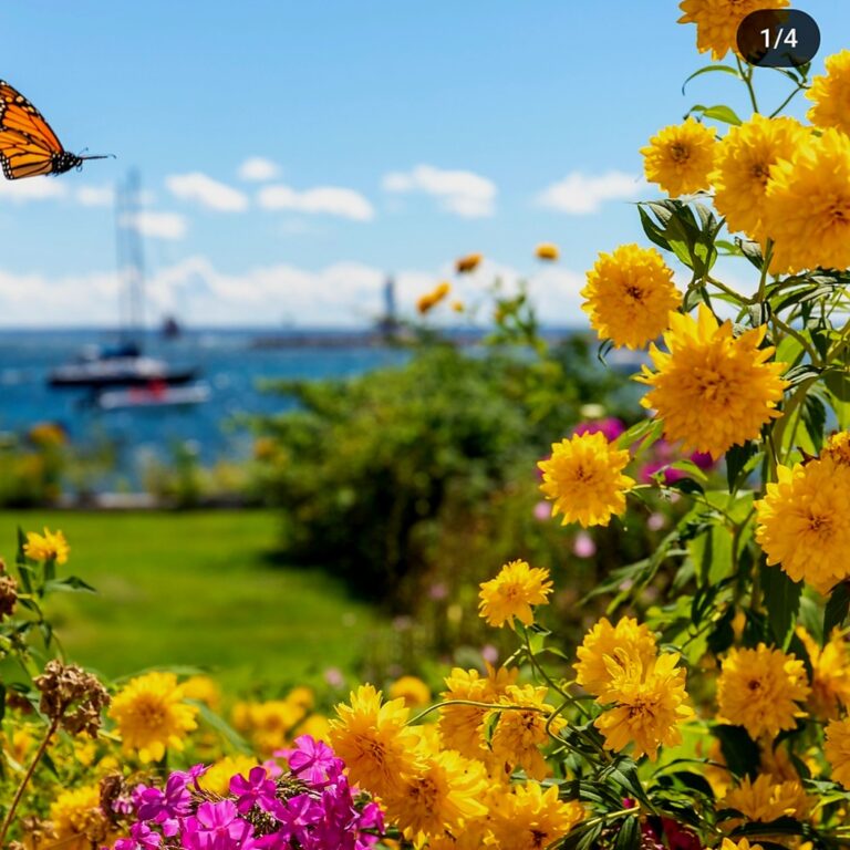 Screenshot 20240115 141757 Instagram 768x768