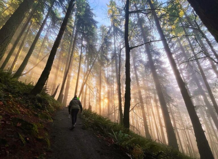 Screenshot 20240117 094725 Instagram 768x558