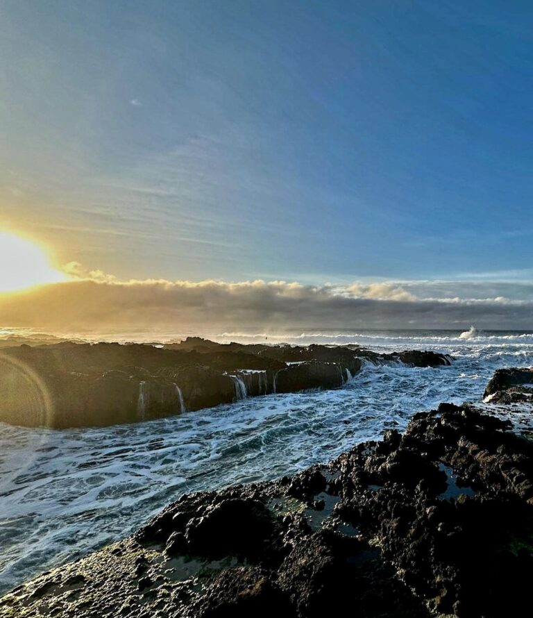 Screenshot 20240117 094749 Instagram 768x890