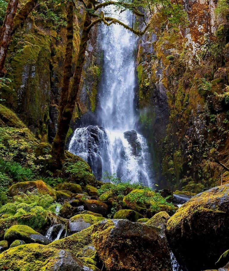 Screenshot 20240117 094758 Instagram 1 768x908