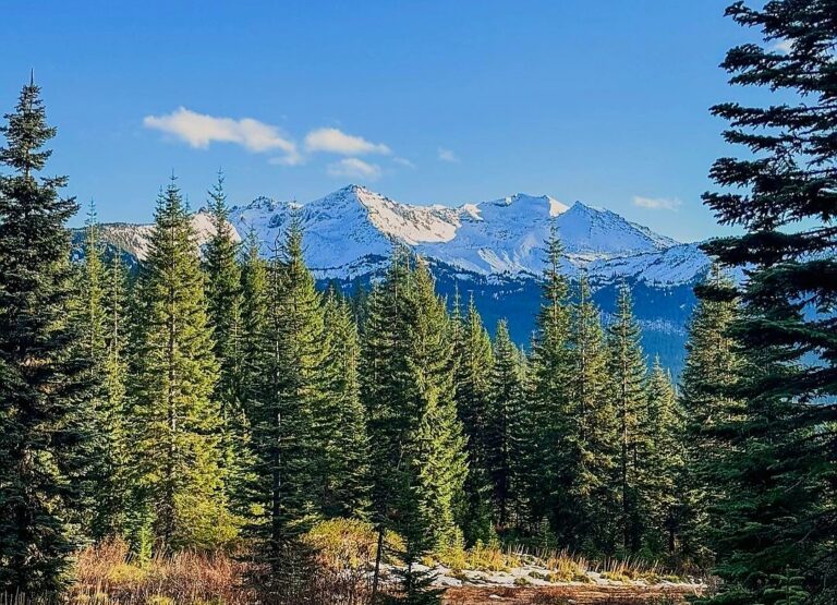 Screenshot 20240117 094829 Instagram 768x555