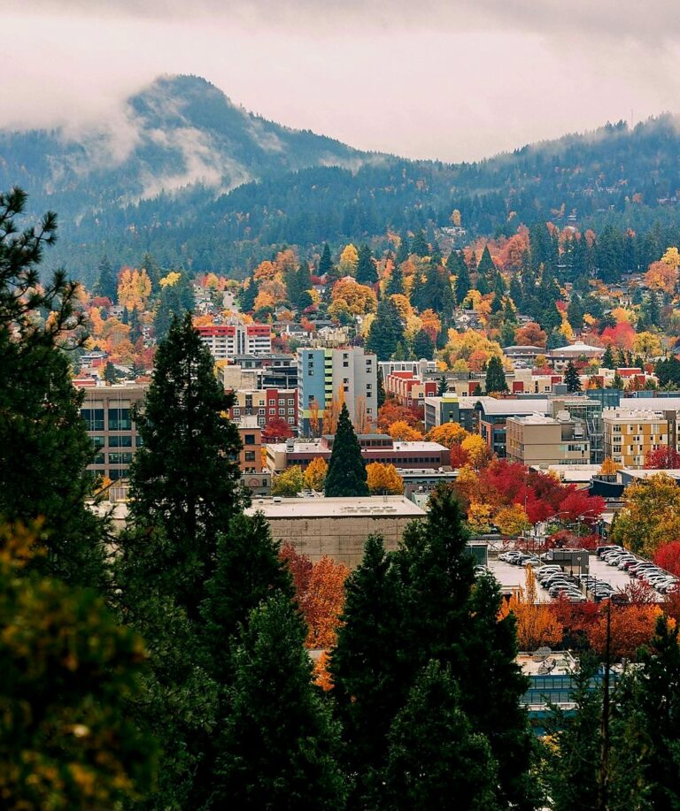 Screenshot 20240117 094837 Instagram 1 768x917