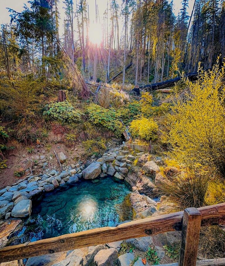 Screenshot 20240117 095216 Instagram 1 768x907