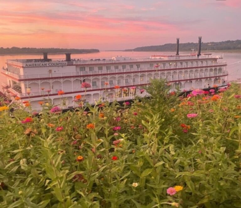 Screenshot 20250422 115044 Instagram 768x665