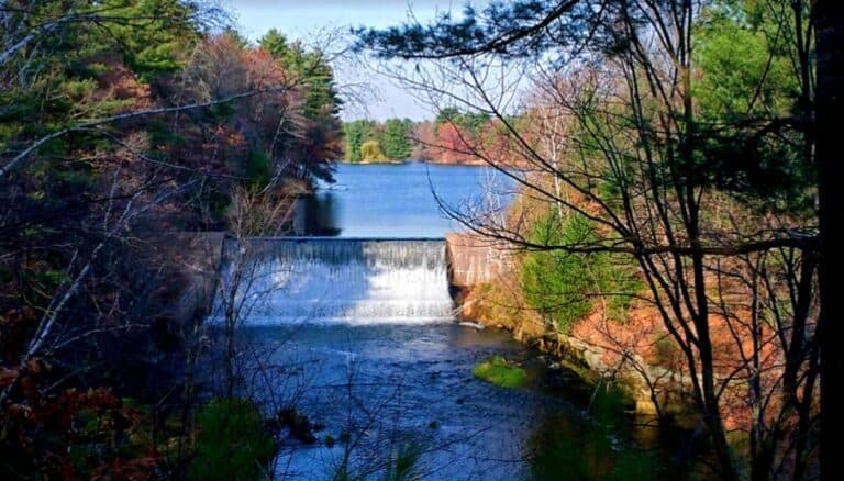 Screenshot 20250423 152135 Chrome 1 768x438