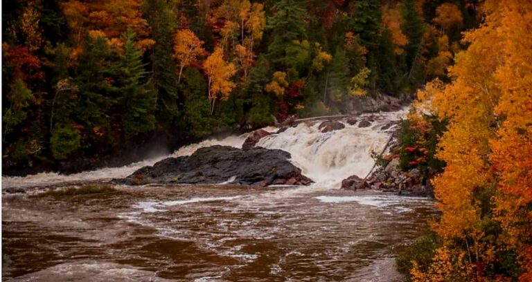 Screenshot 20250423 152145 Chrome 768x408