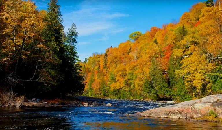 Screenshot 20250423 152155 Chrome 768x450