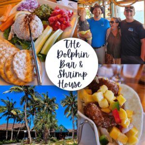 The Dolphin Bar