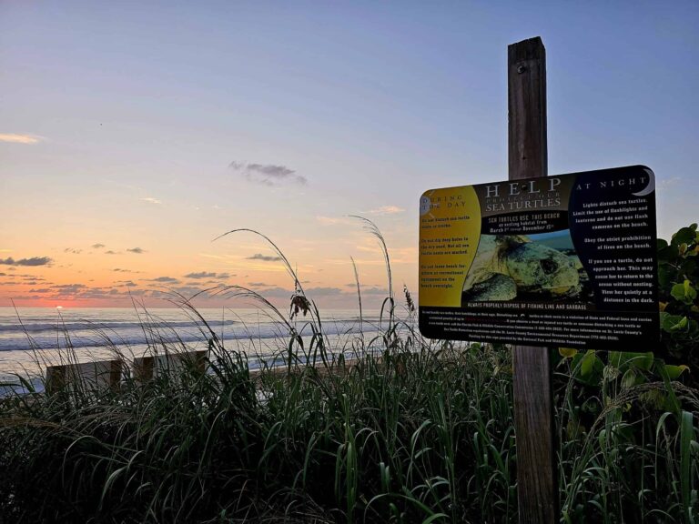 20230906 070235 min 1 scaled 1 768x576