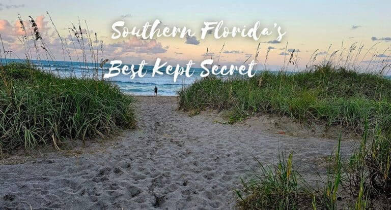 Copy of Copy of Jensen Beach FL 2 768x414