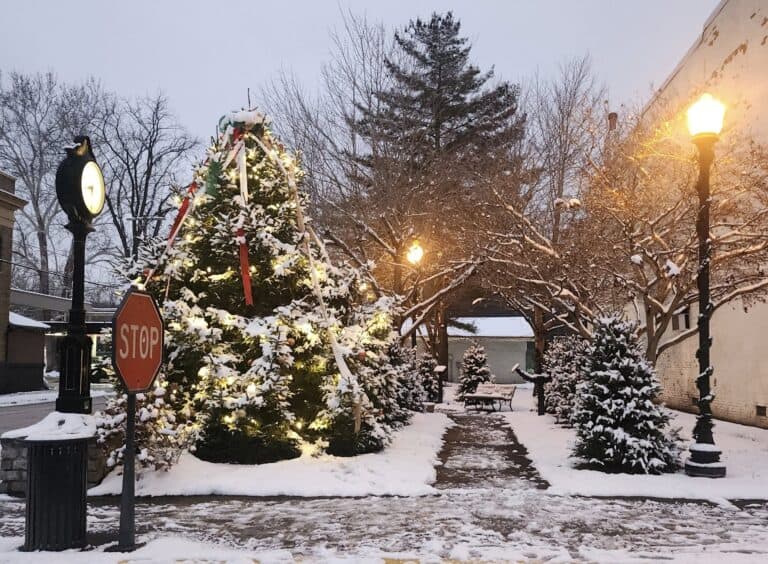 winter wonderland 768x564