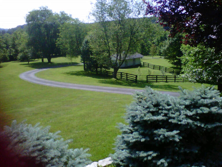 Porch View Towards the Paddock 768x576
